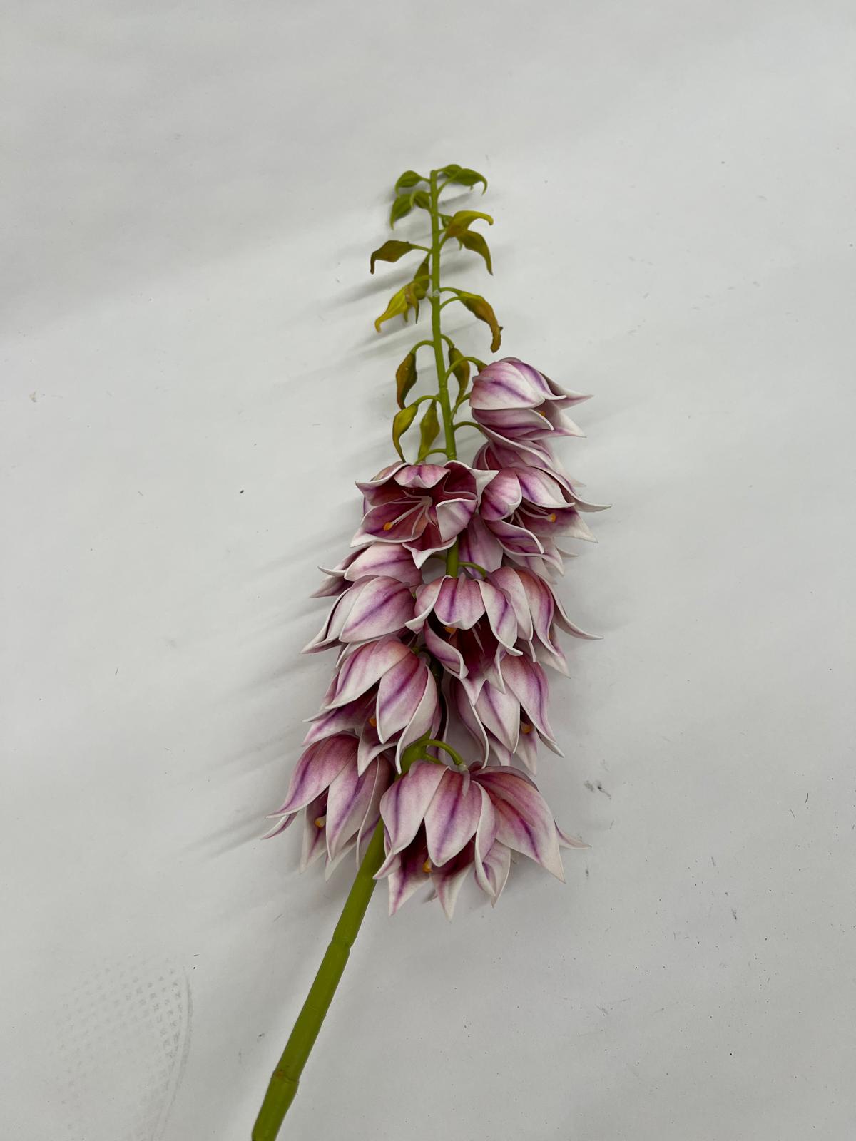 Clopotei