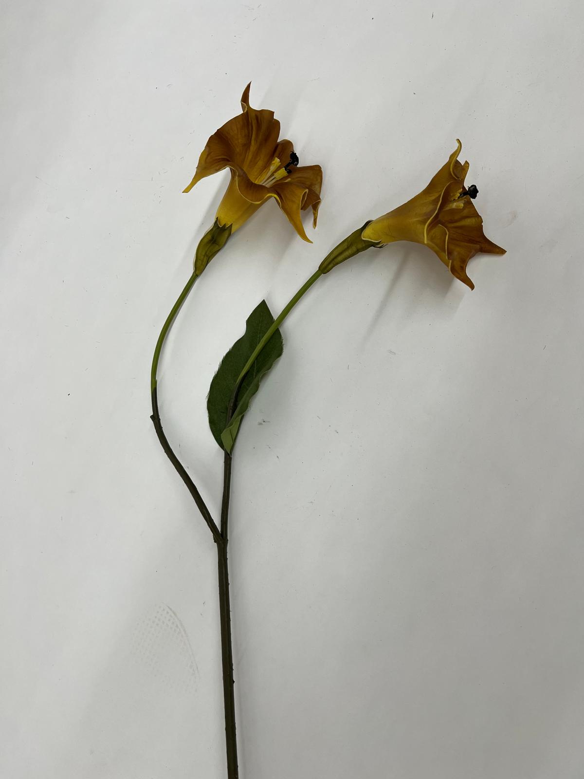 Clopotei Curgatori