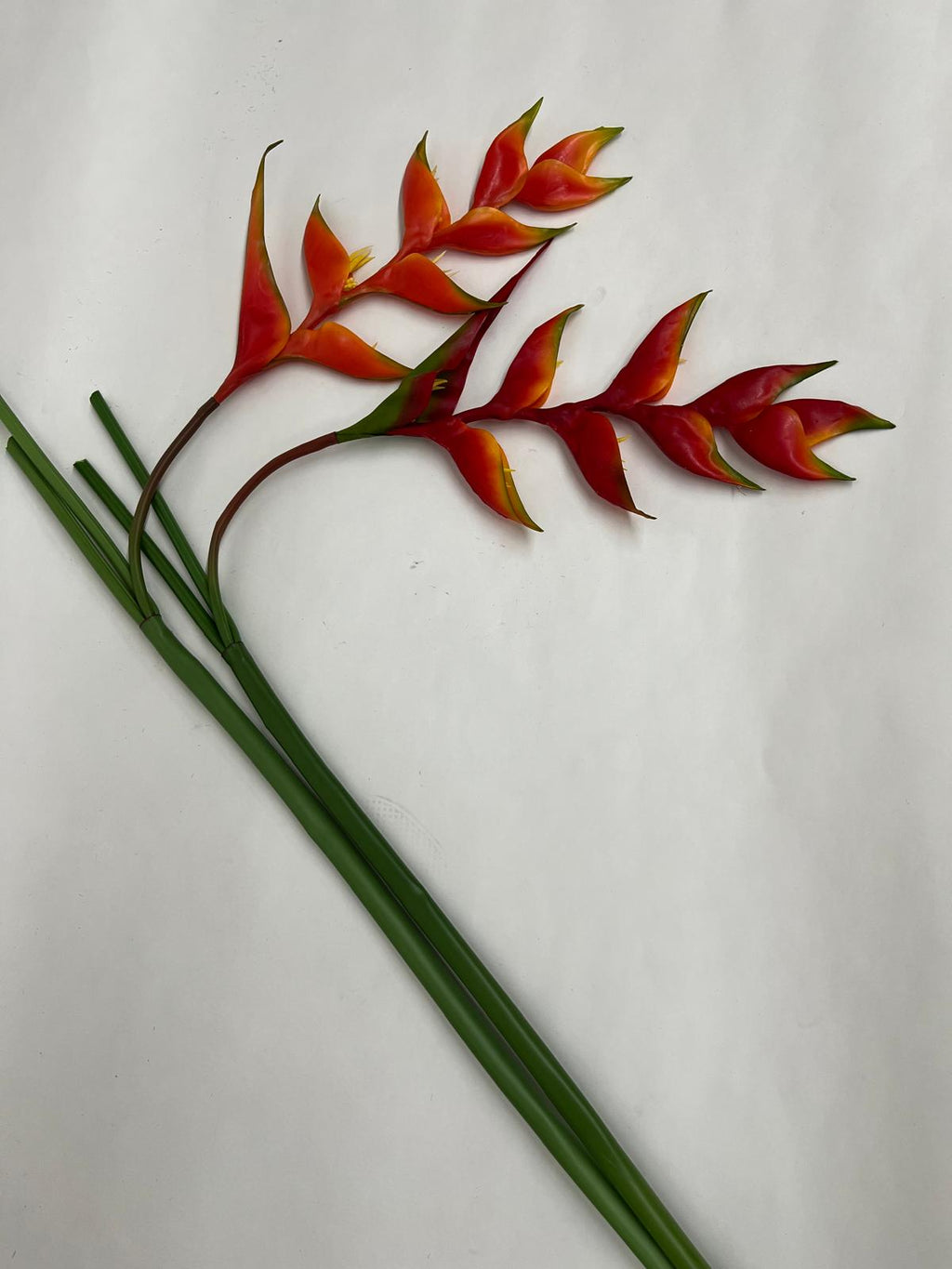 Heliconia Curgatoare