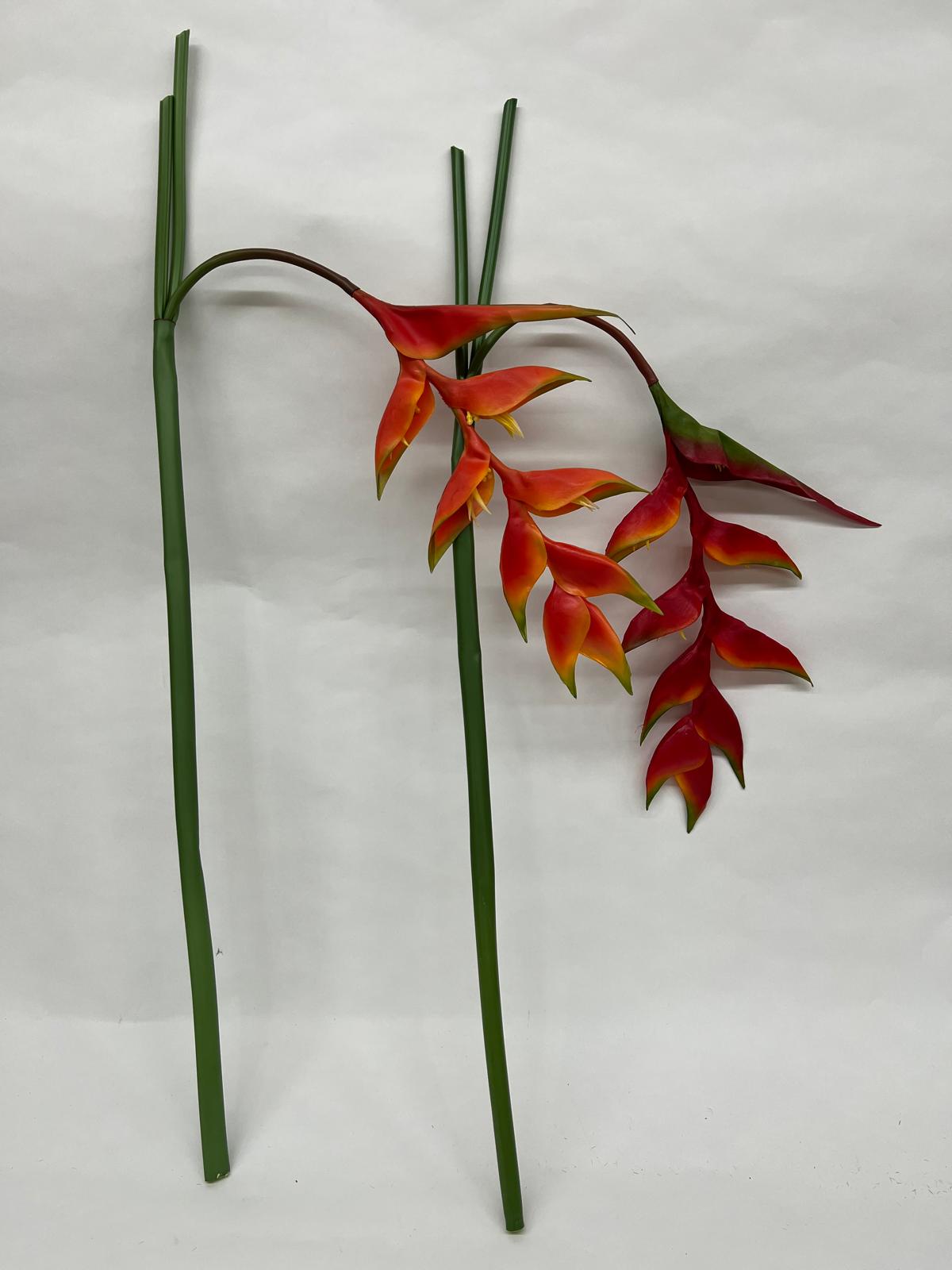 Heliconia Curgatoare