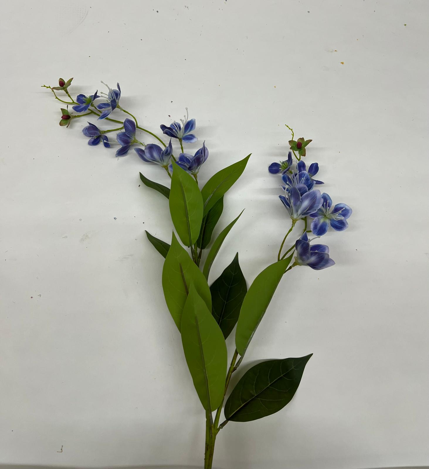 Dendrobium