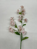 Clopotei
