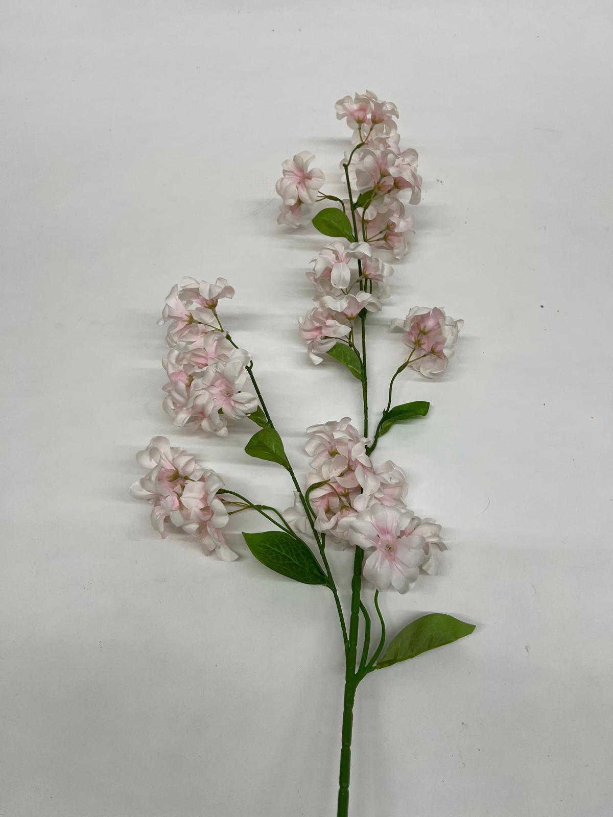 Clopotei