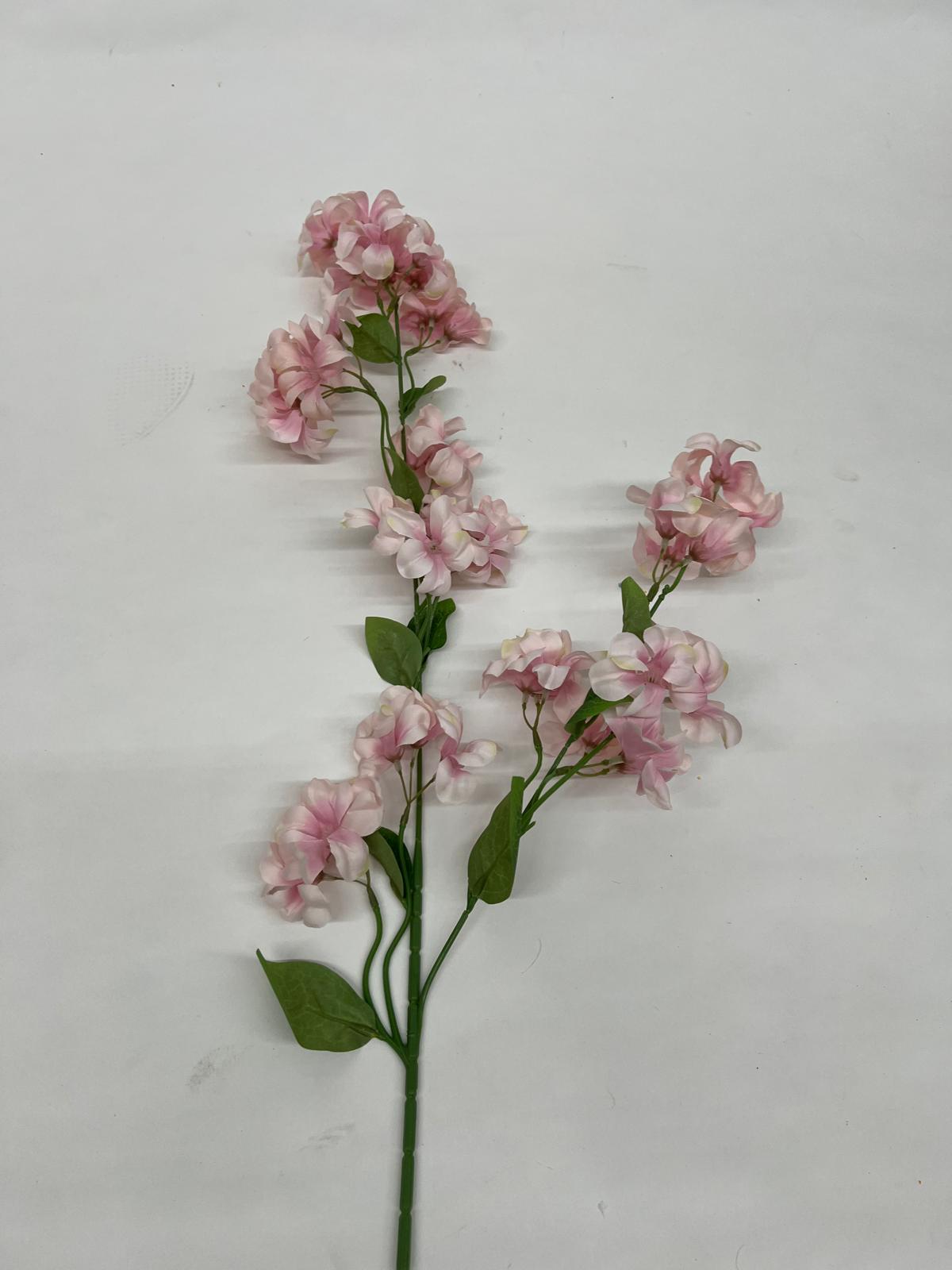 Clopotei