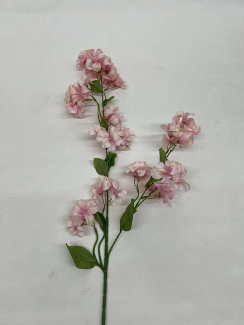 Clopotei