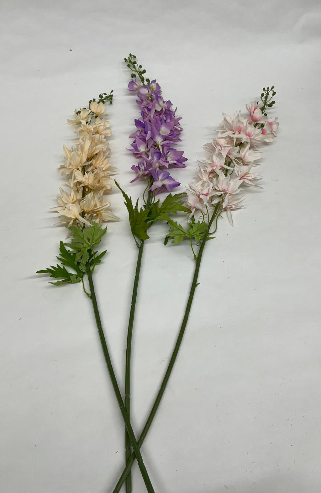 Delphinium