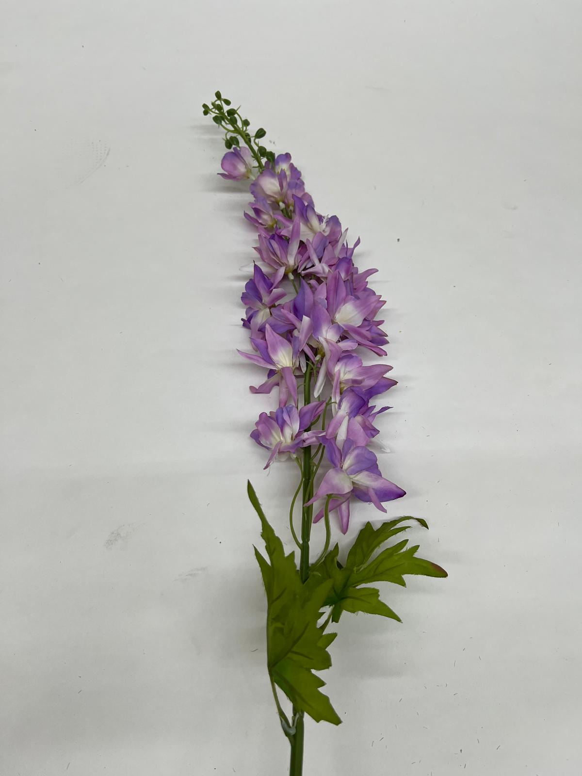 Delphinium