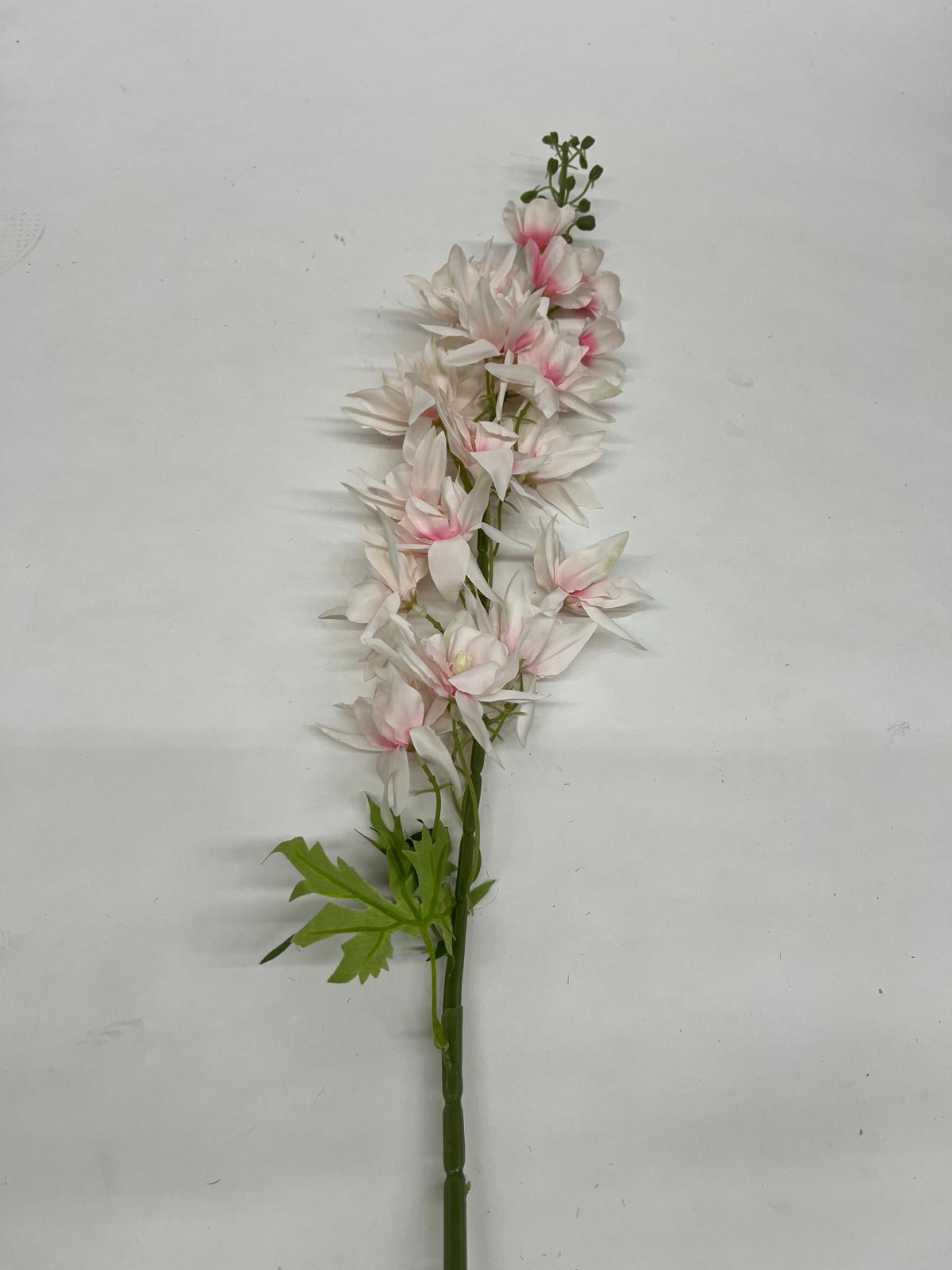 Delphinium