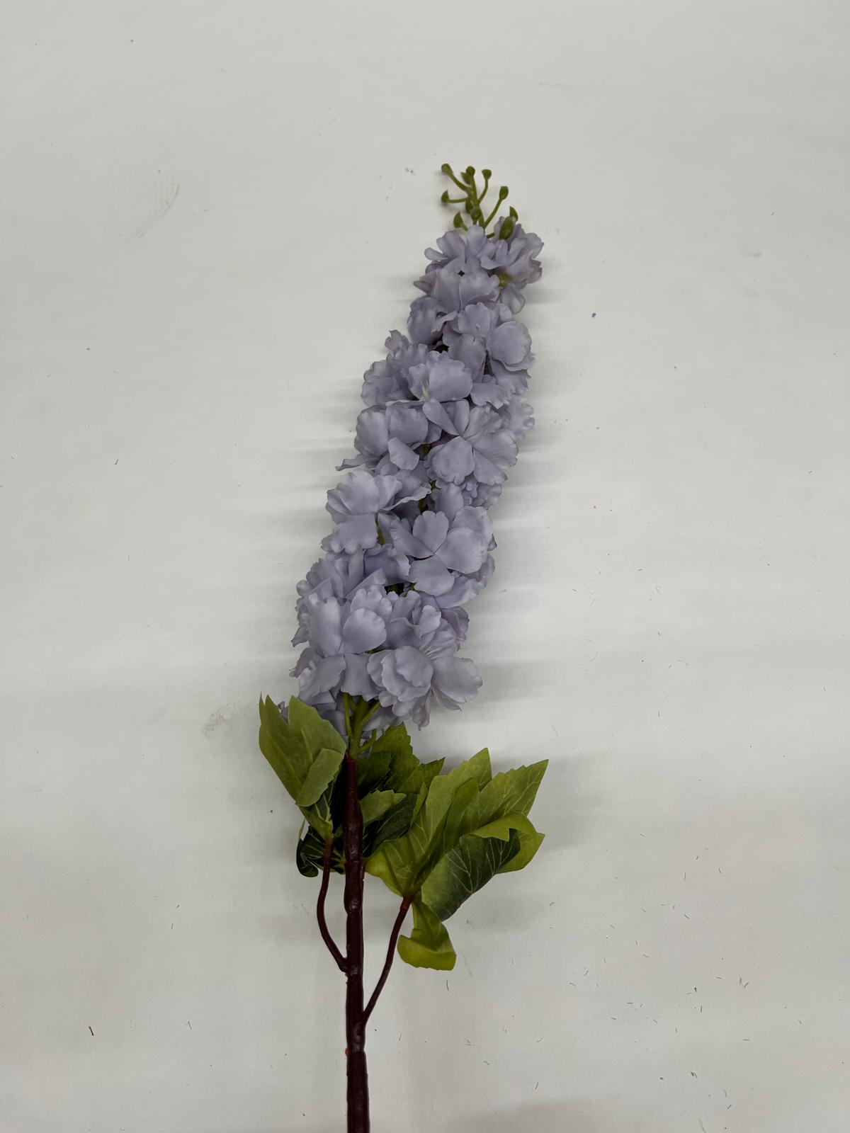 Delphinium