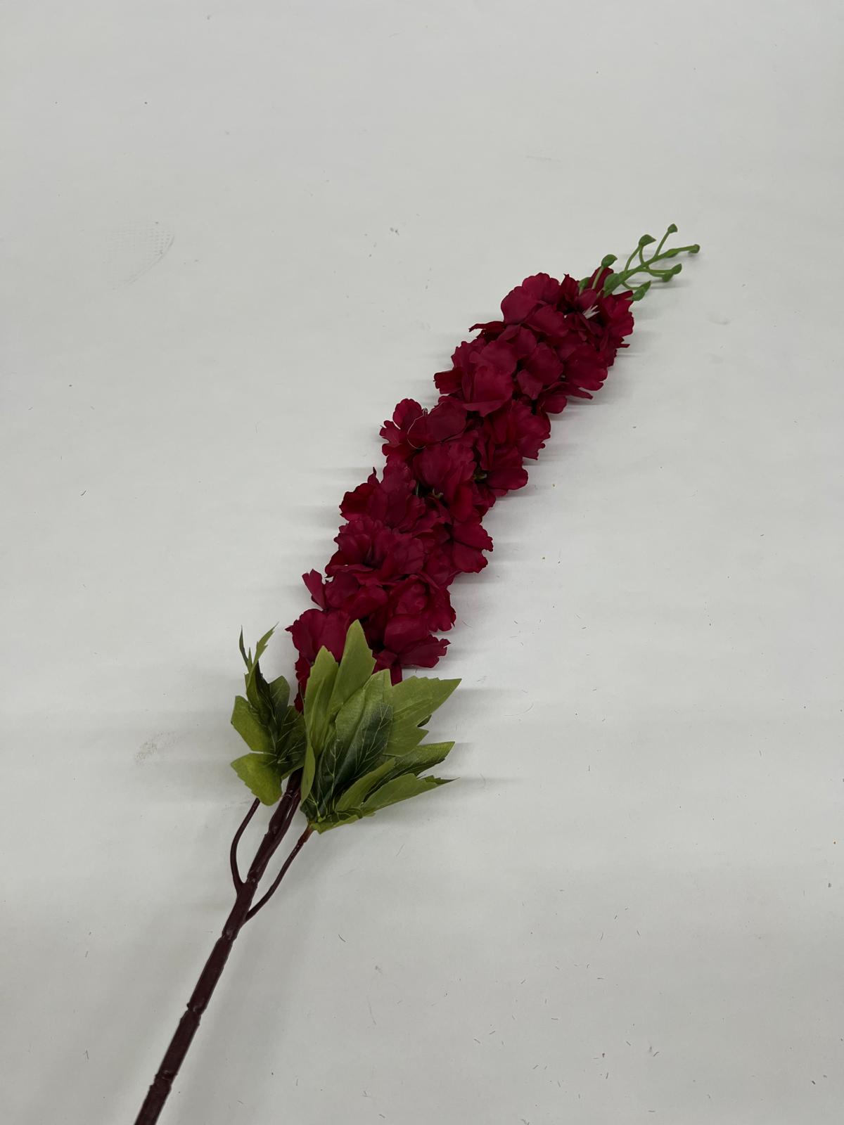 Delphinium