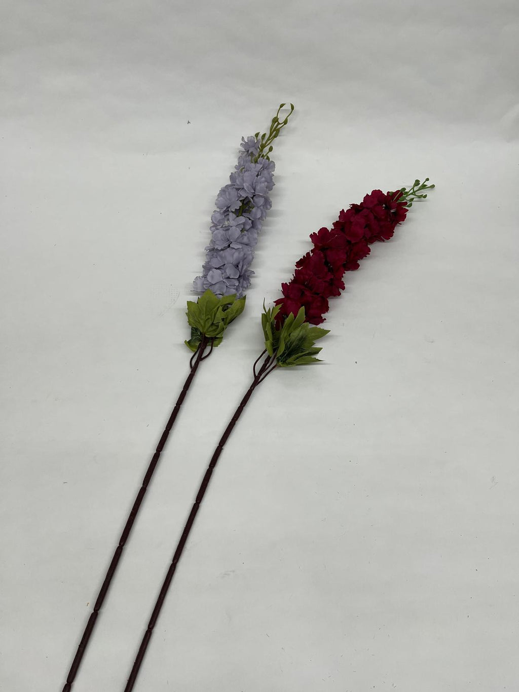 Delphinium