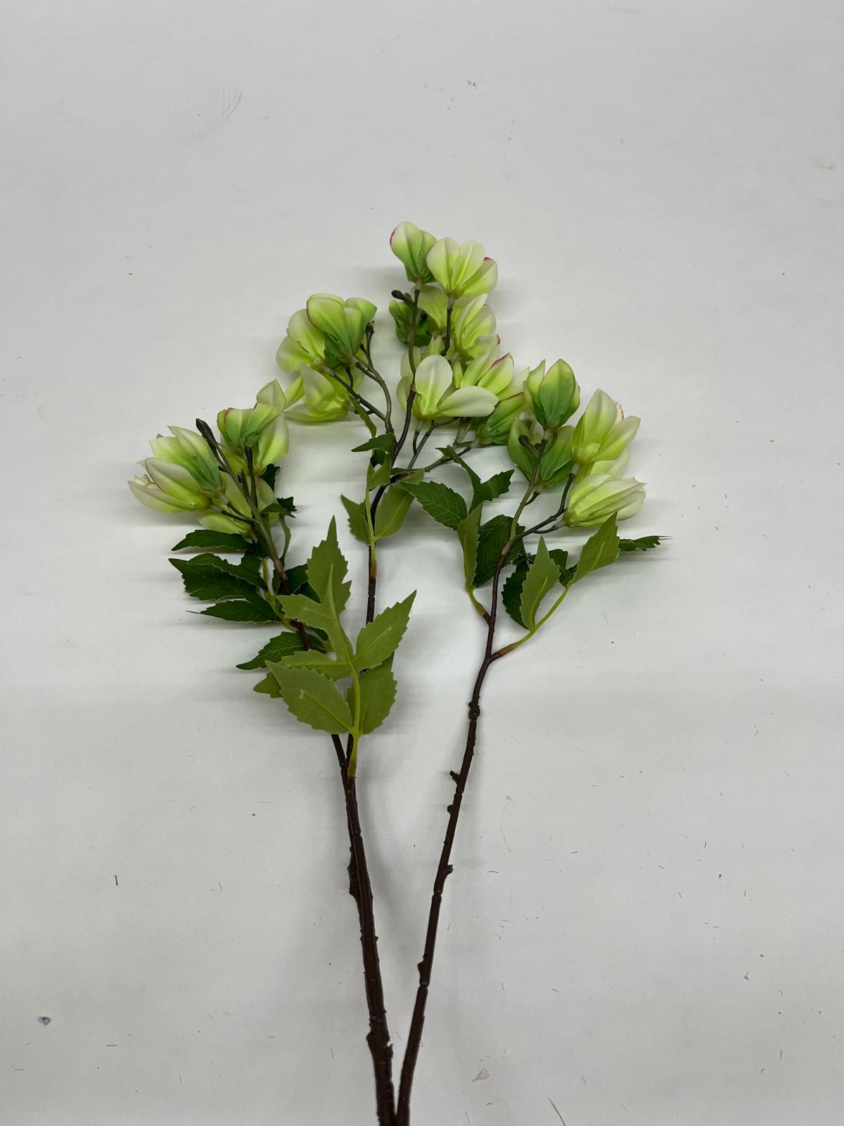Clopotei
