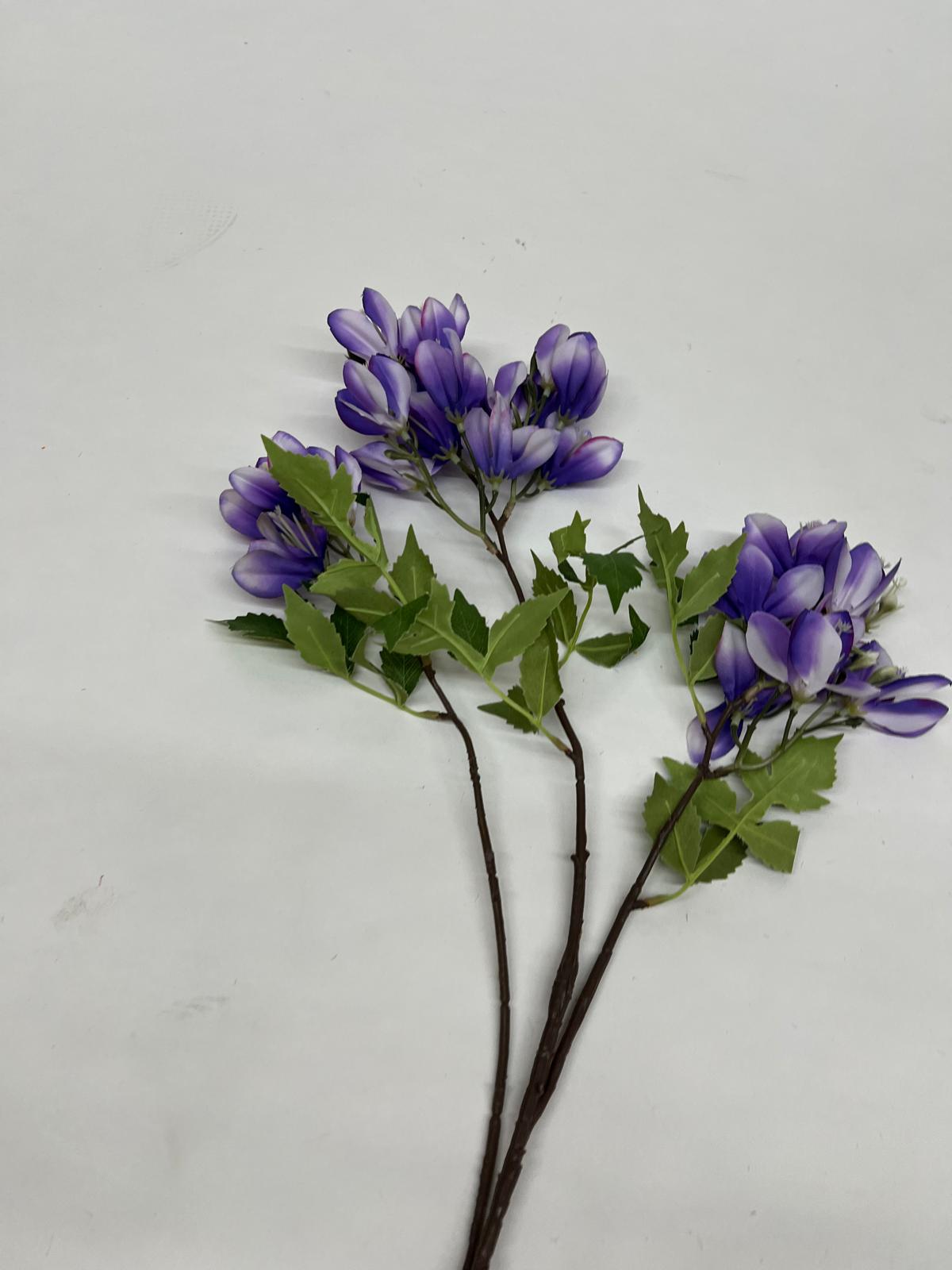 Clopotei