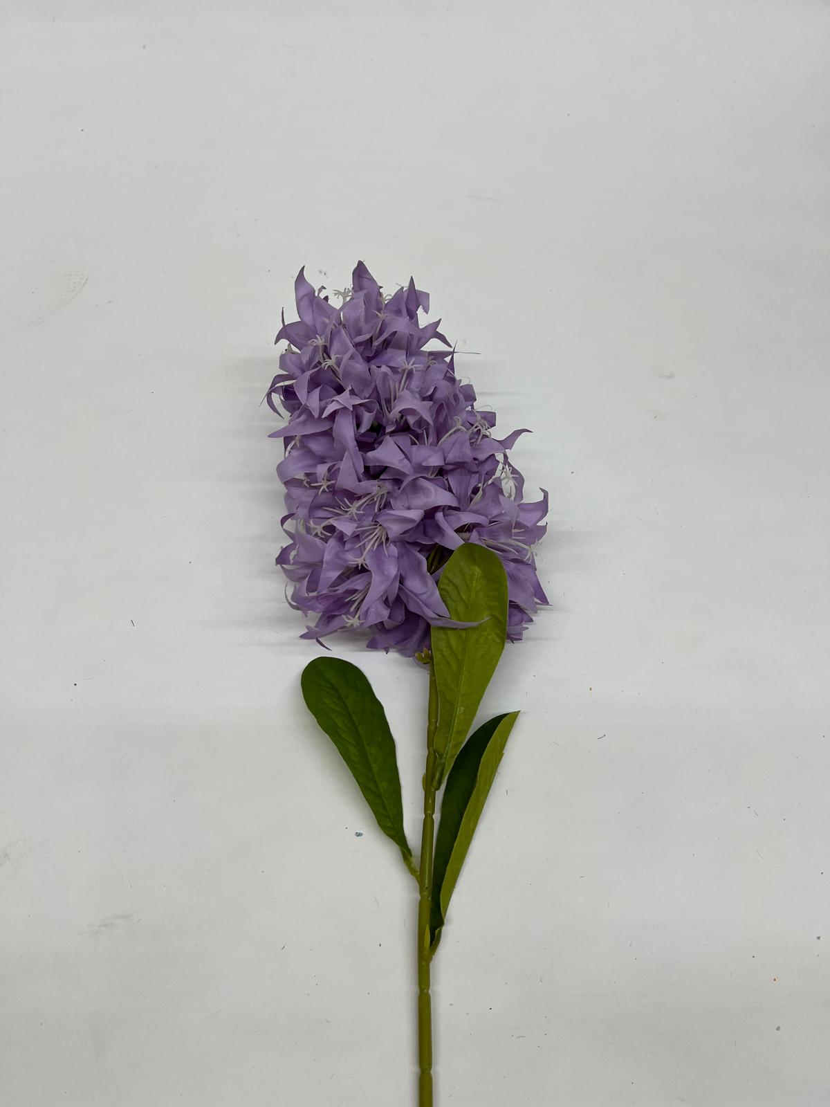 Mathiola Pufoasa