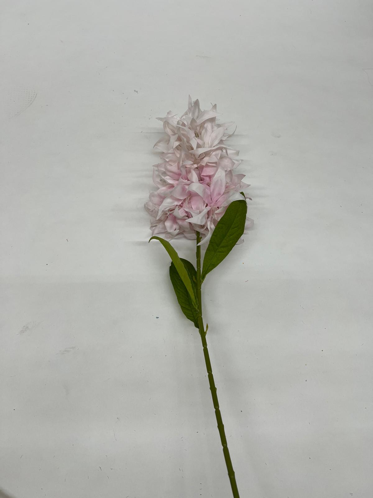 Mathiola Pufoasa