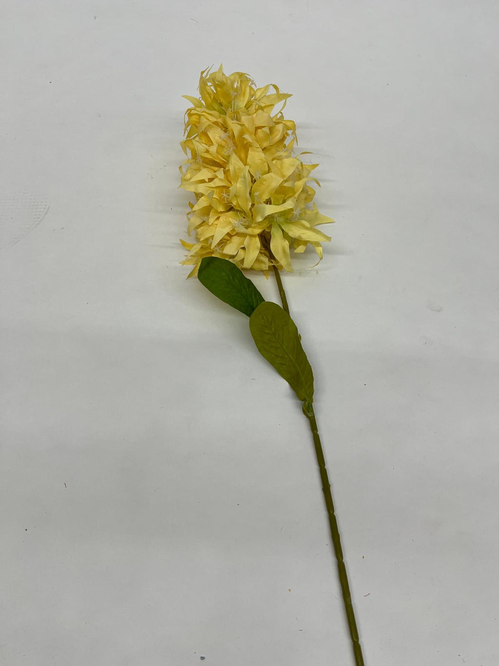 Mathiola Pufoasa