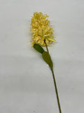 Mathiola Pufoasa