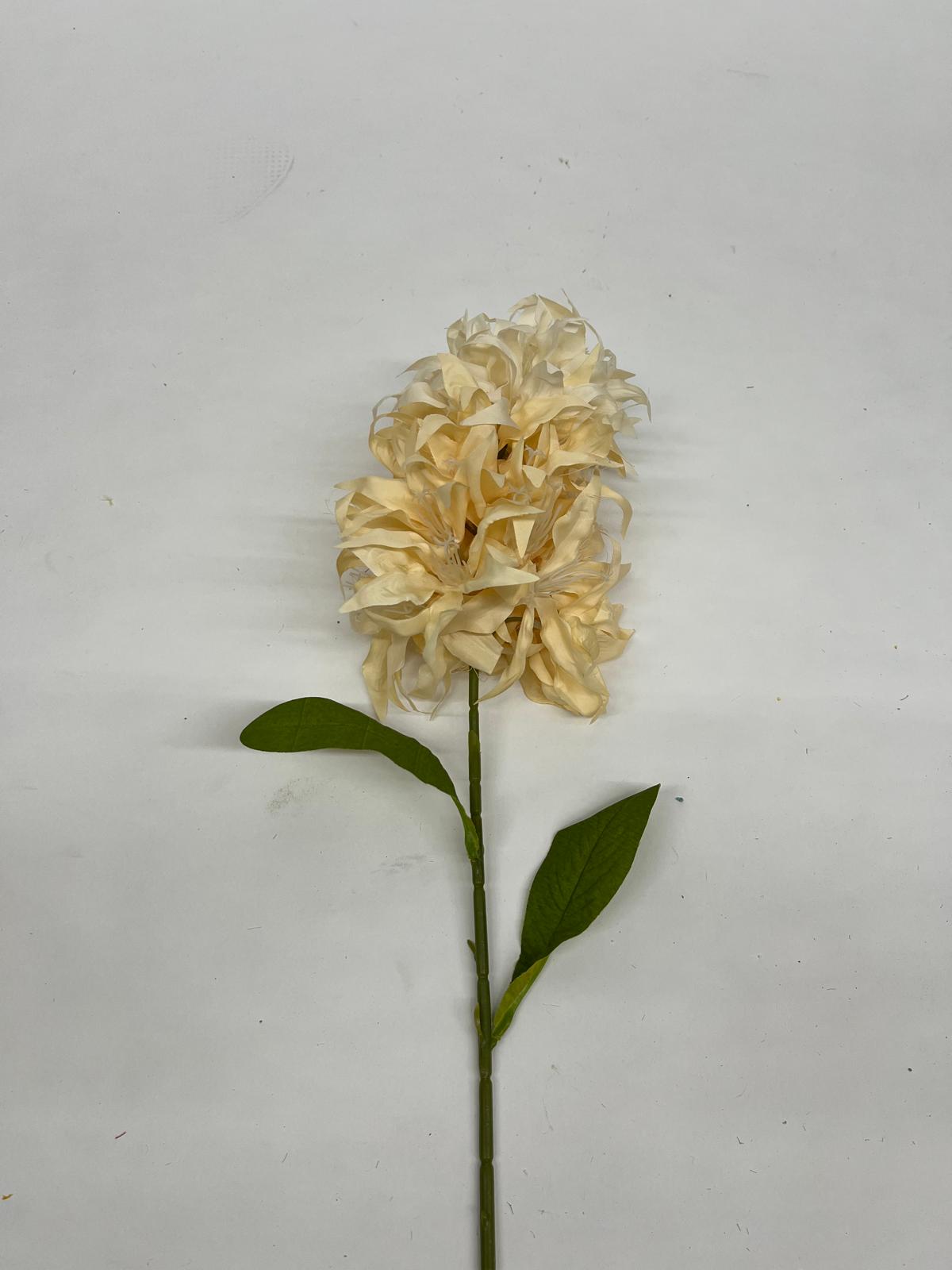 Mathiola Pufoasa