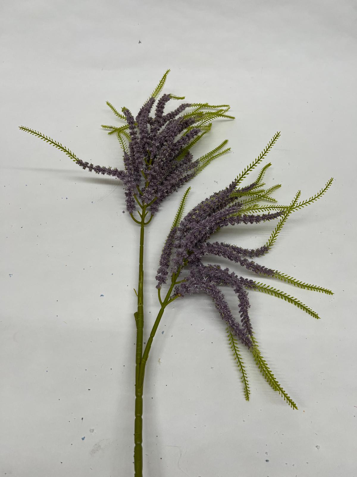 Sanziene