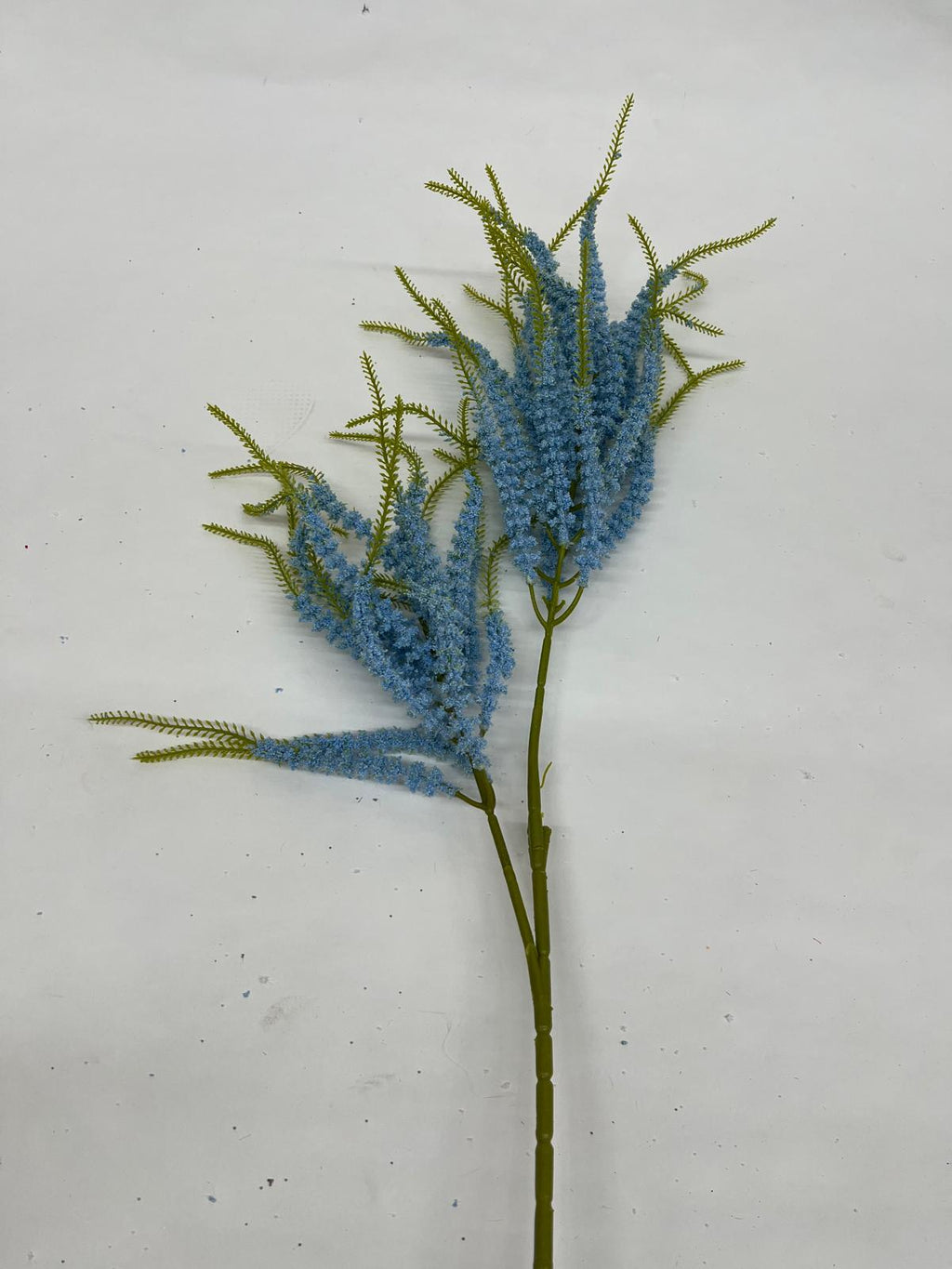 Sanziene