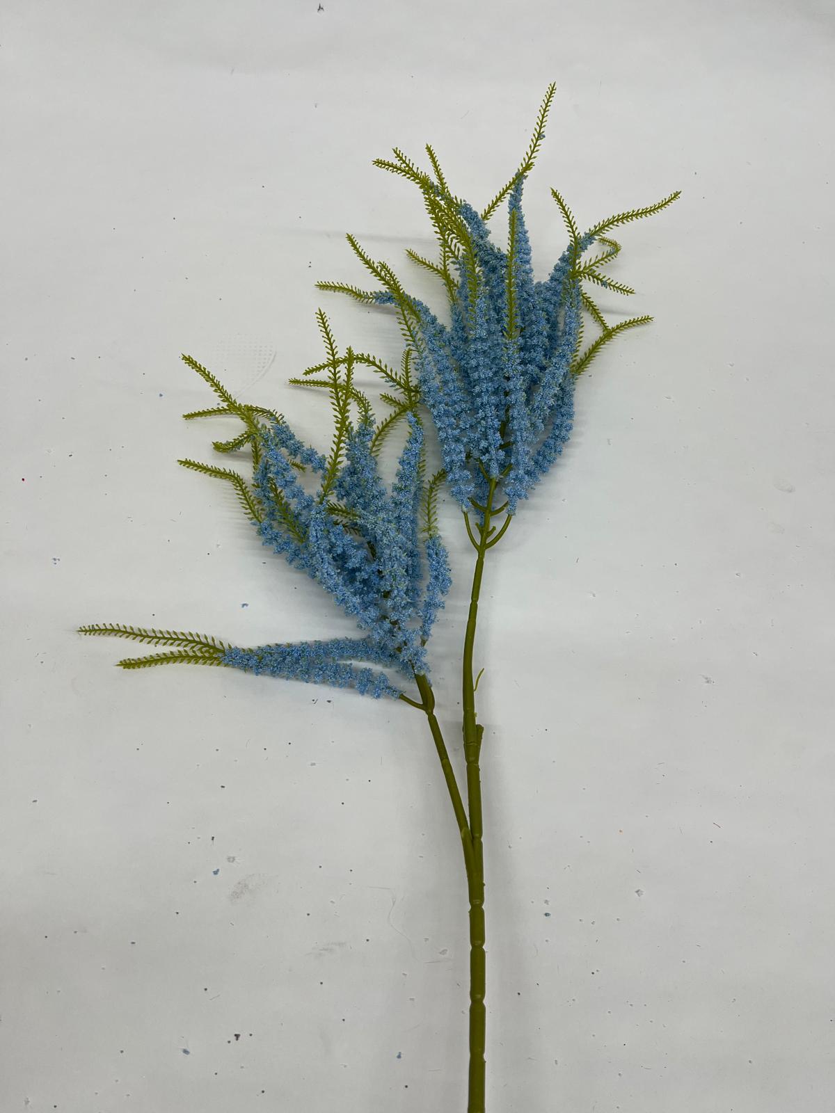 Sanziene