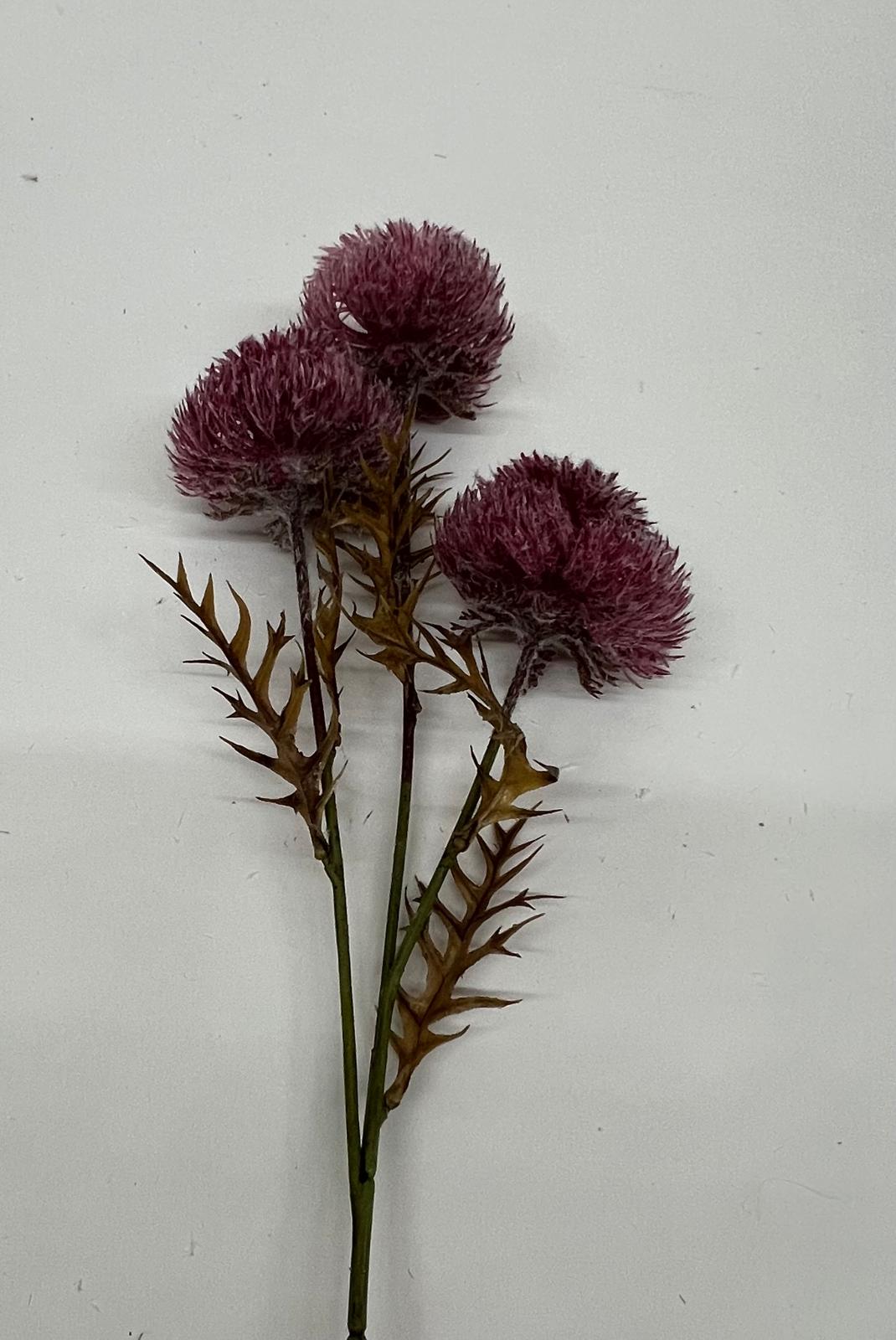 Floare Puf