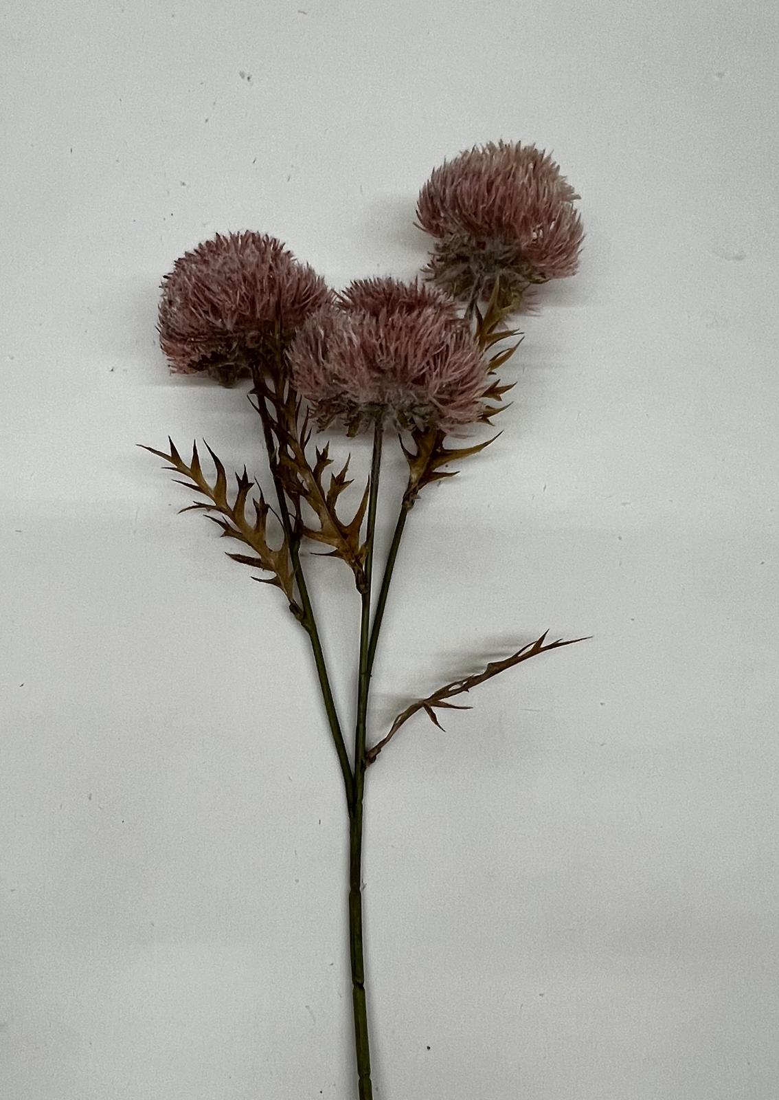 Floare Puf