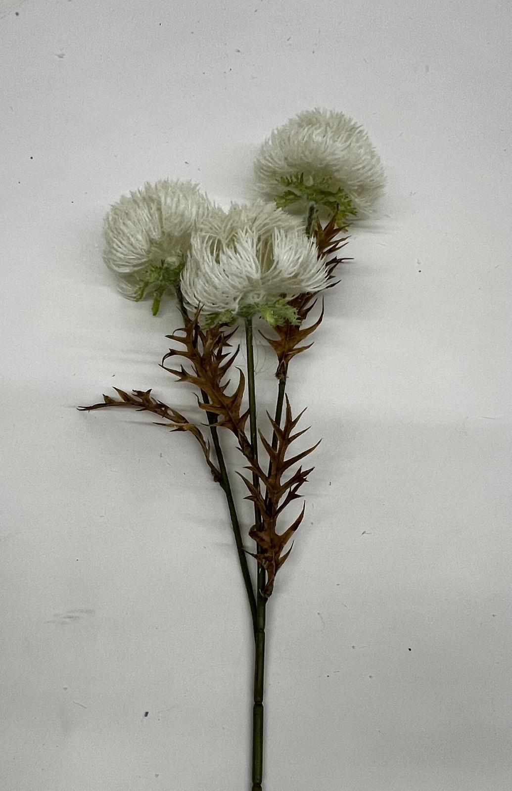 Floare Puf