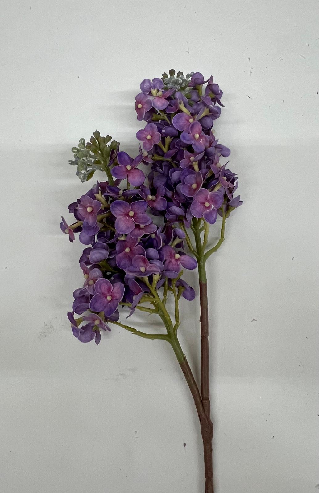 Liliac
