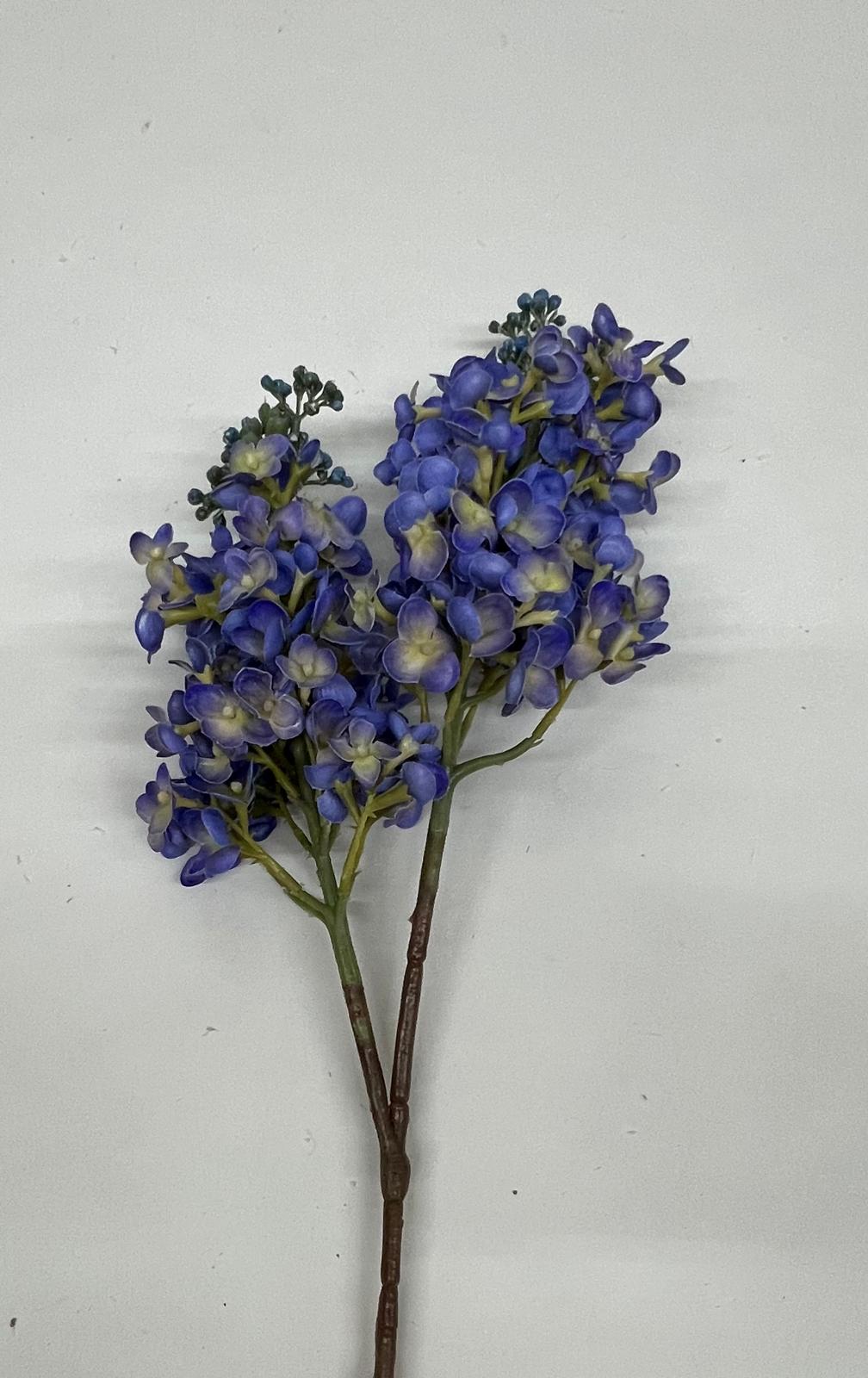 Liliac