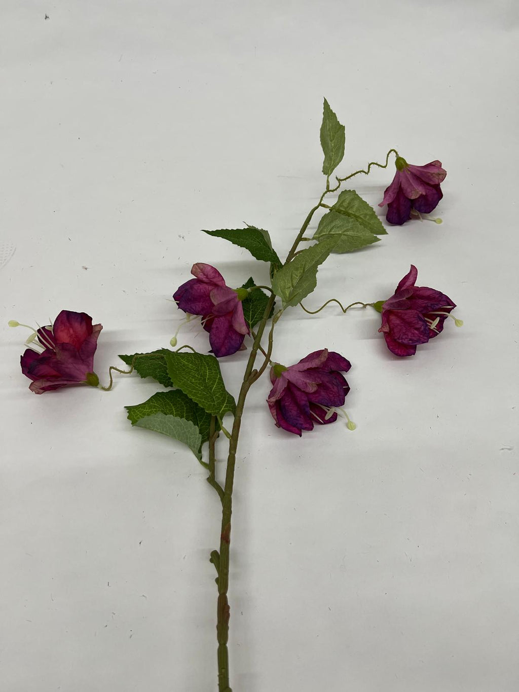 Floare de Hartie