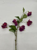 Floare de Hartie