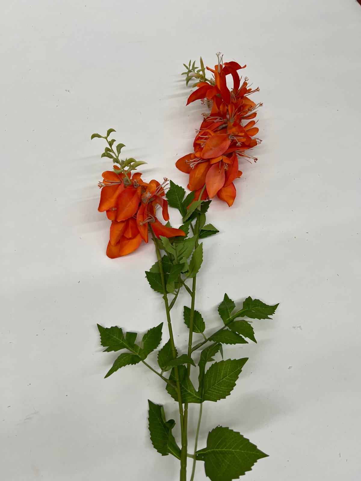 Flori Curgatoare