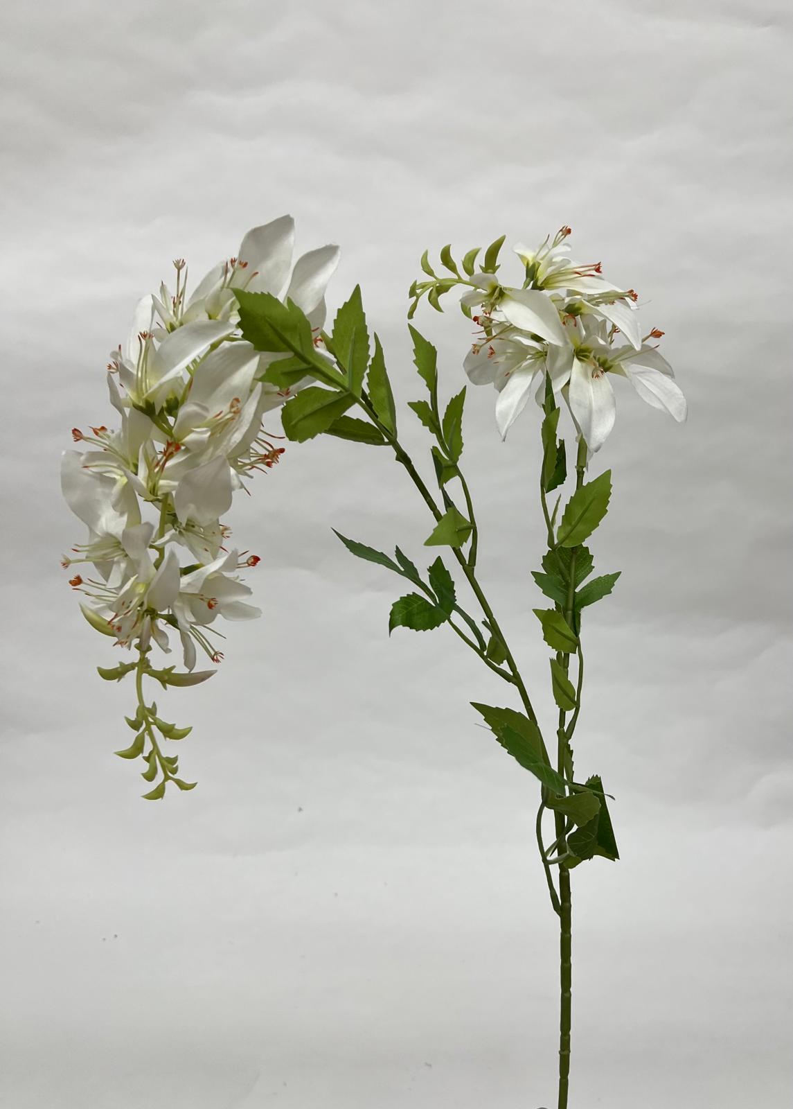 Flori Curgatoare