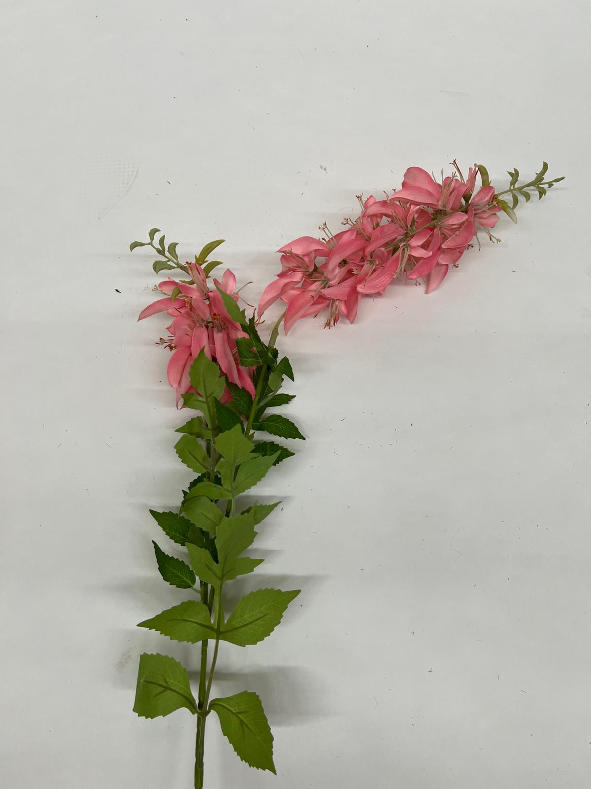Flori Curgatoare