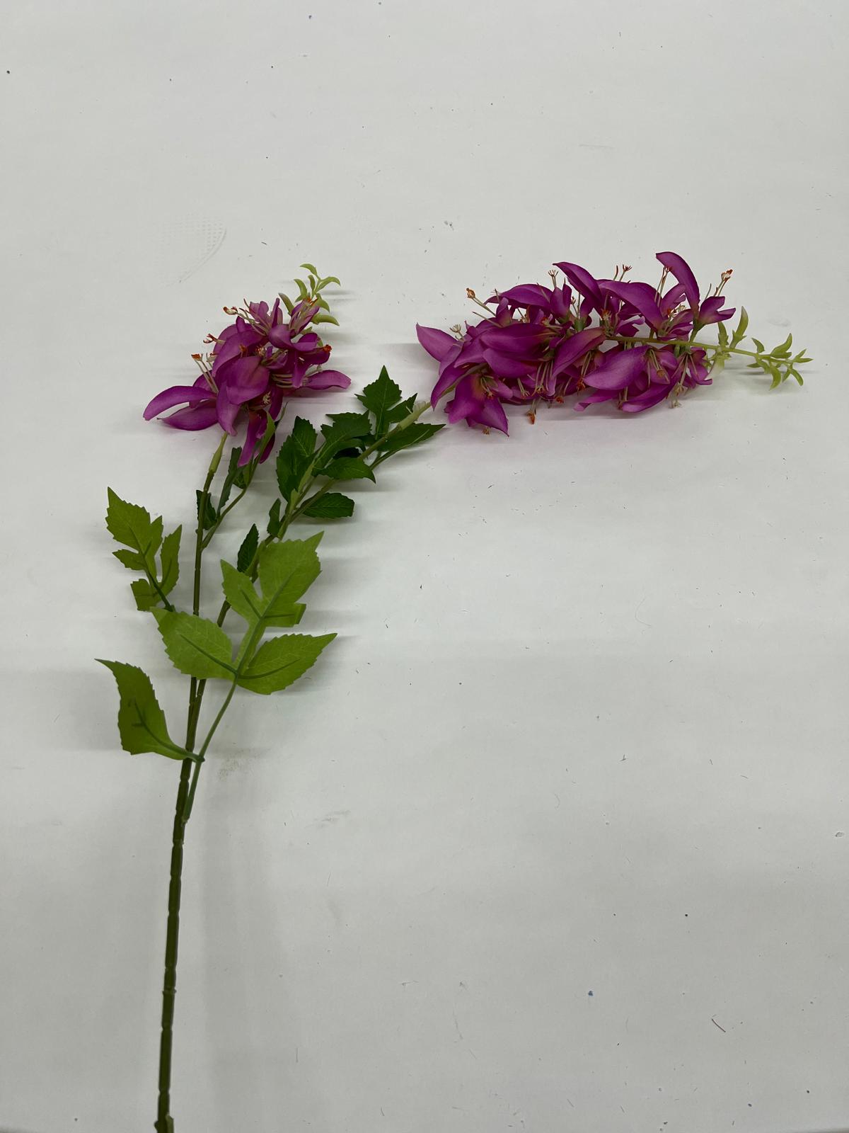 Flori Curgatoare