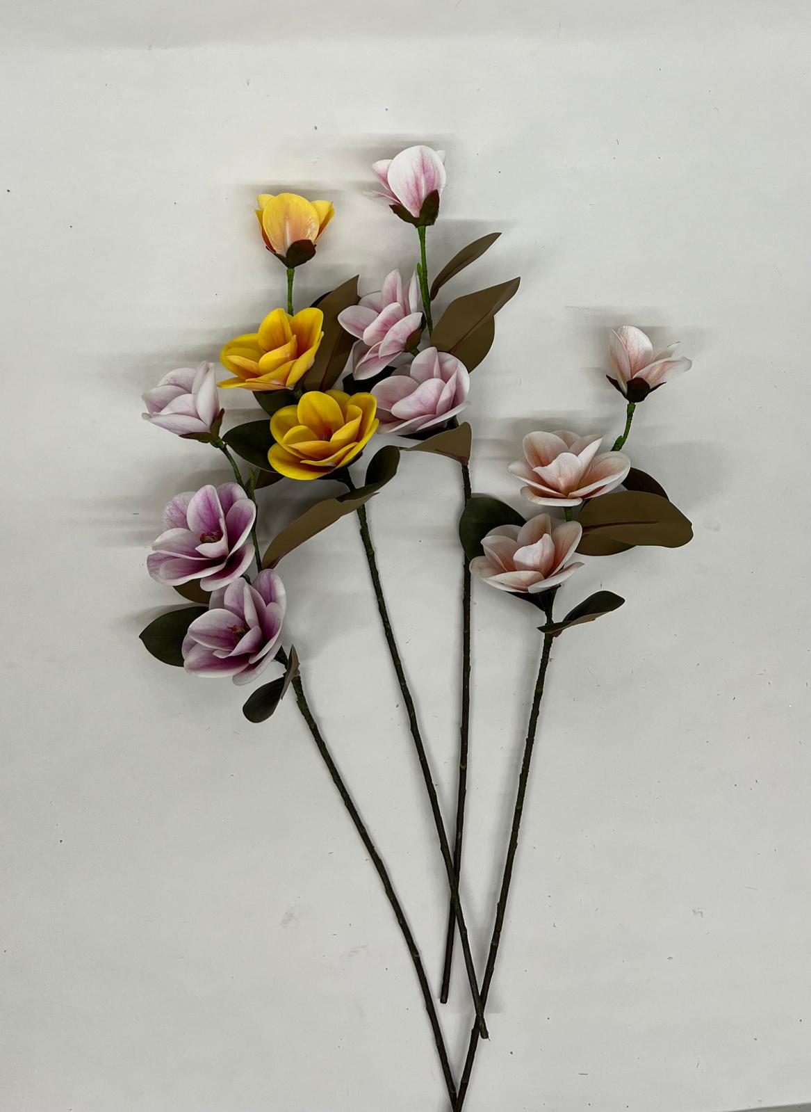 Magnolie