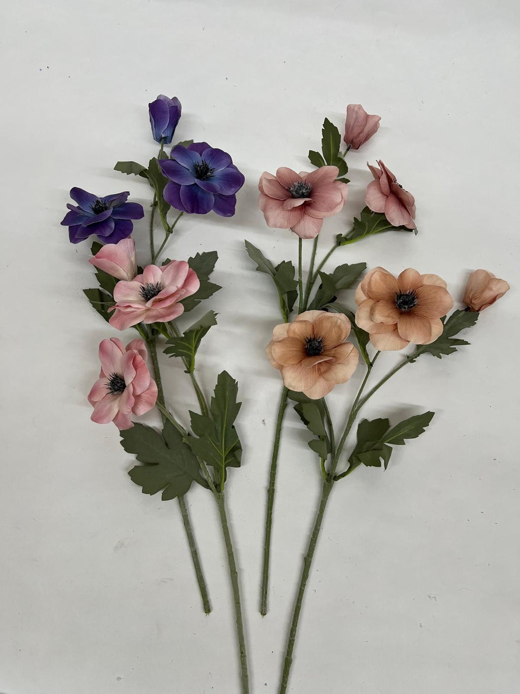 Anemone
