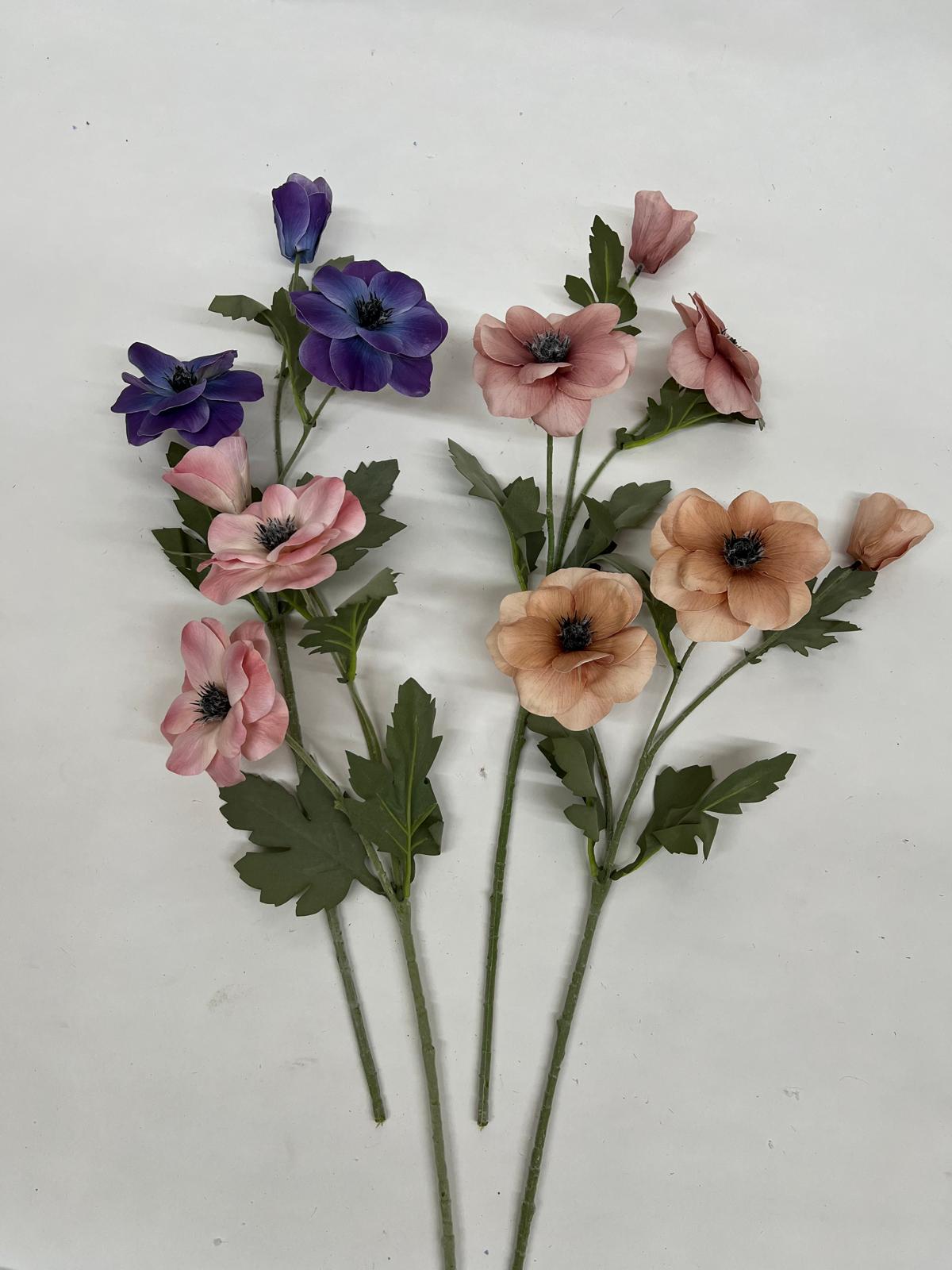Anemone