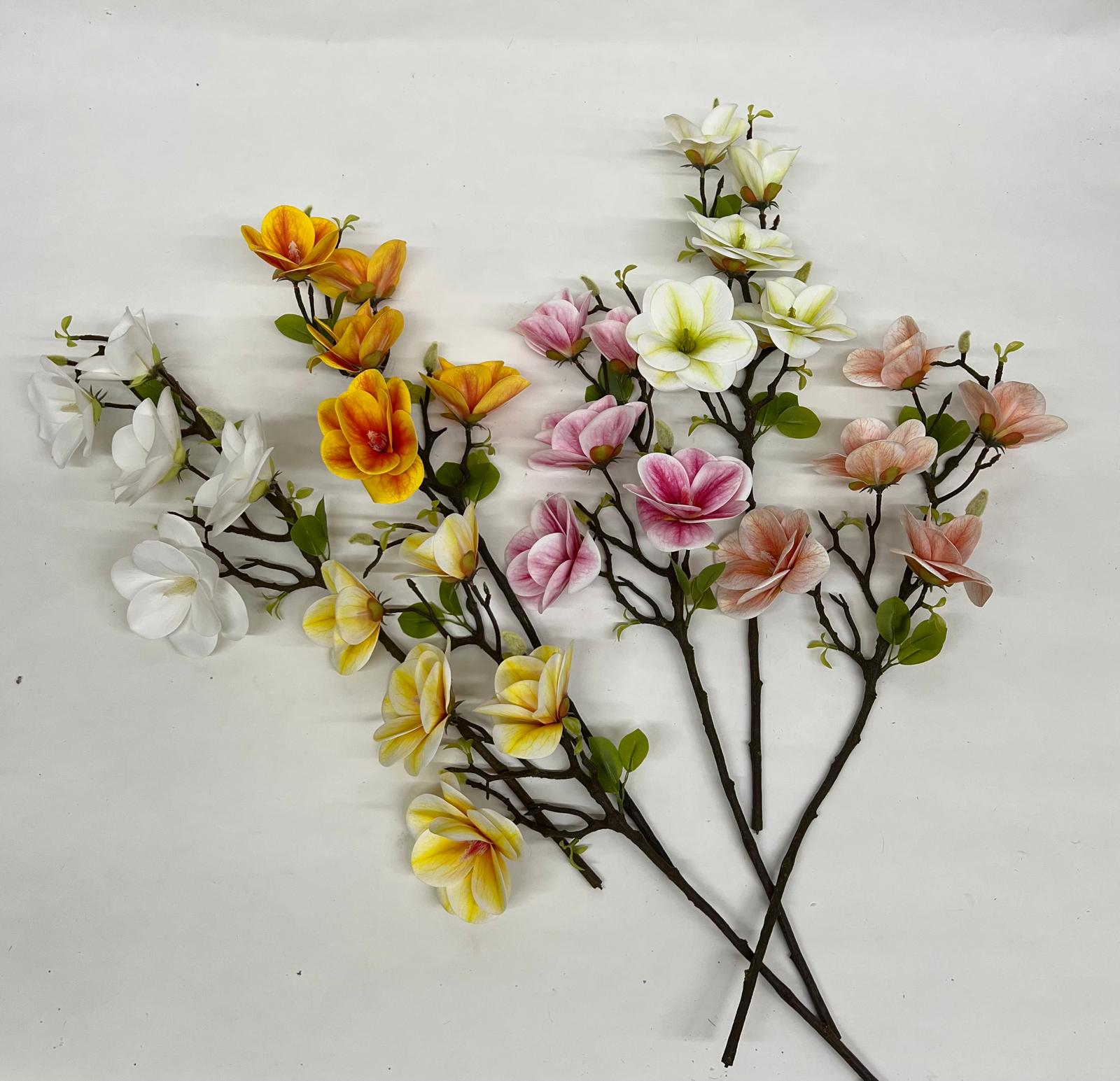 Magnolie