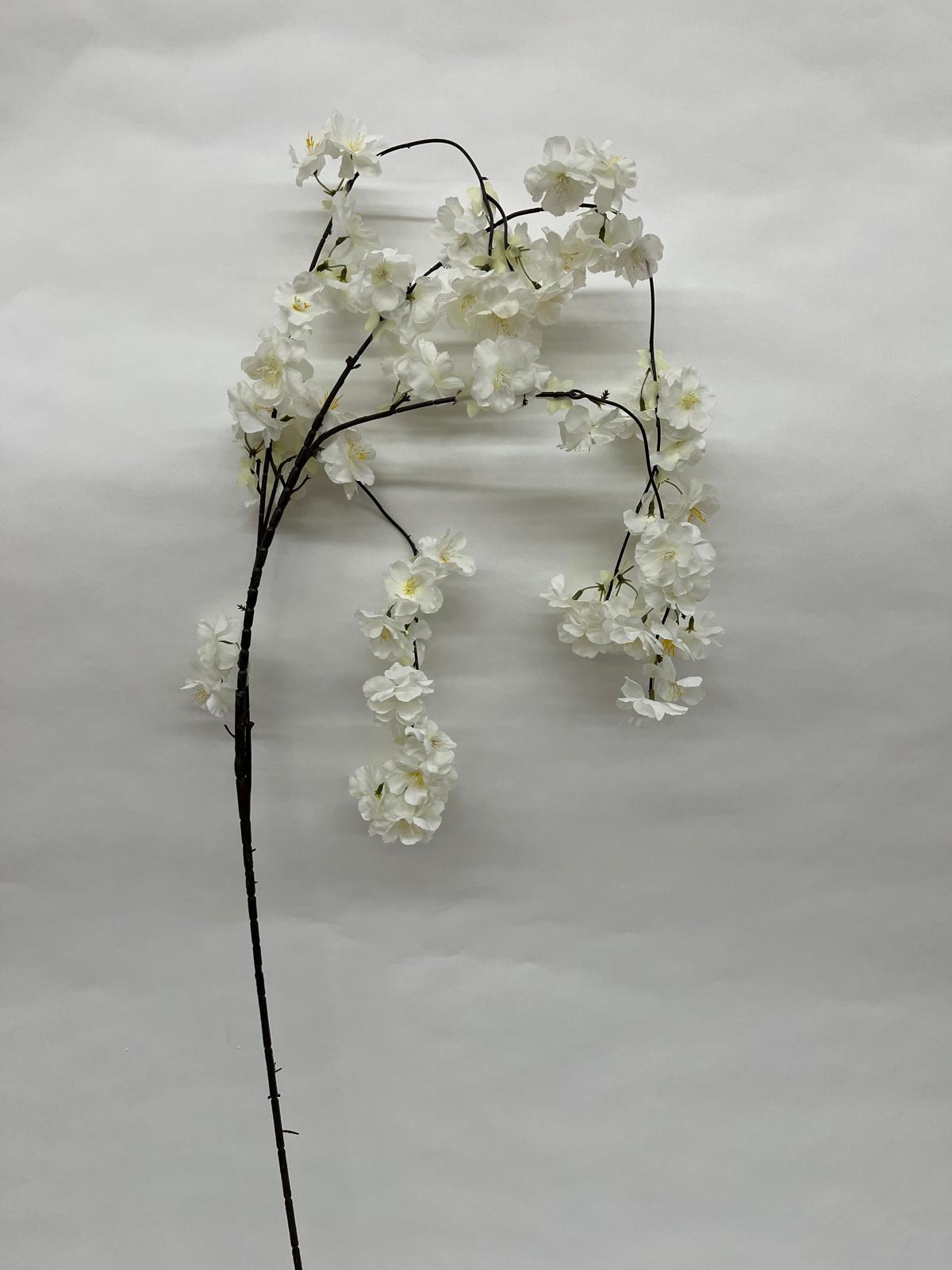 Flori de Cires Curgatoare