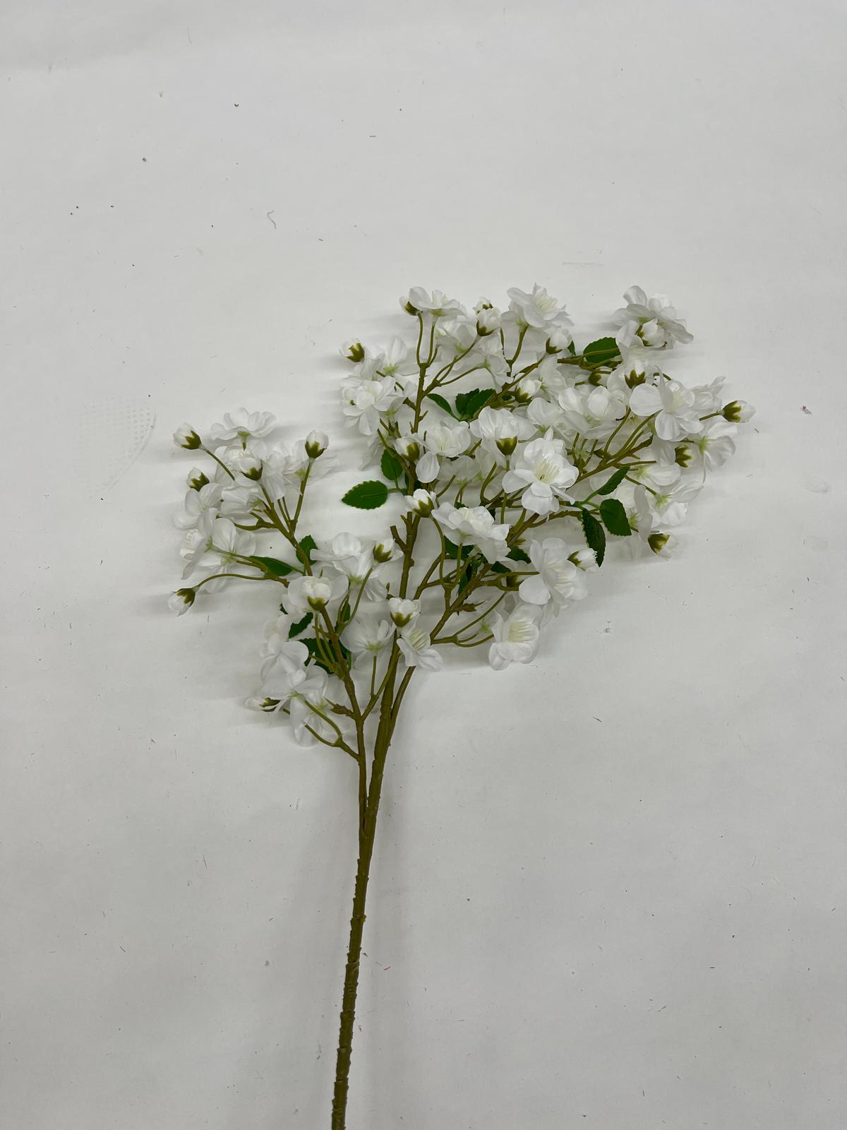 Flori Cires