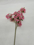 Flori Cires