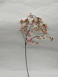 Floare Cires Curgatore