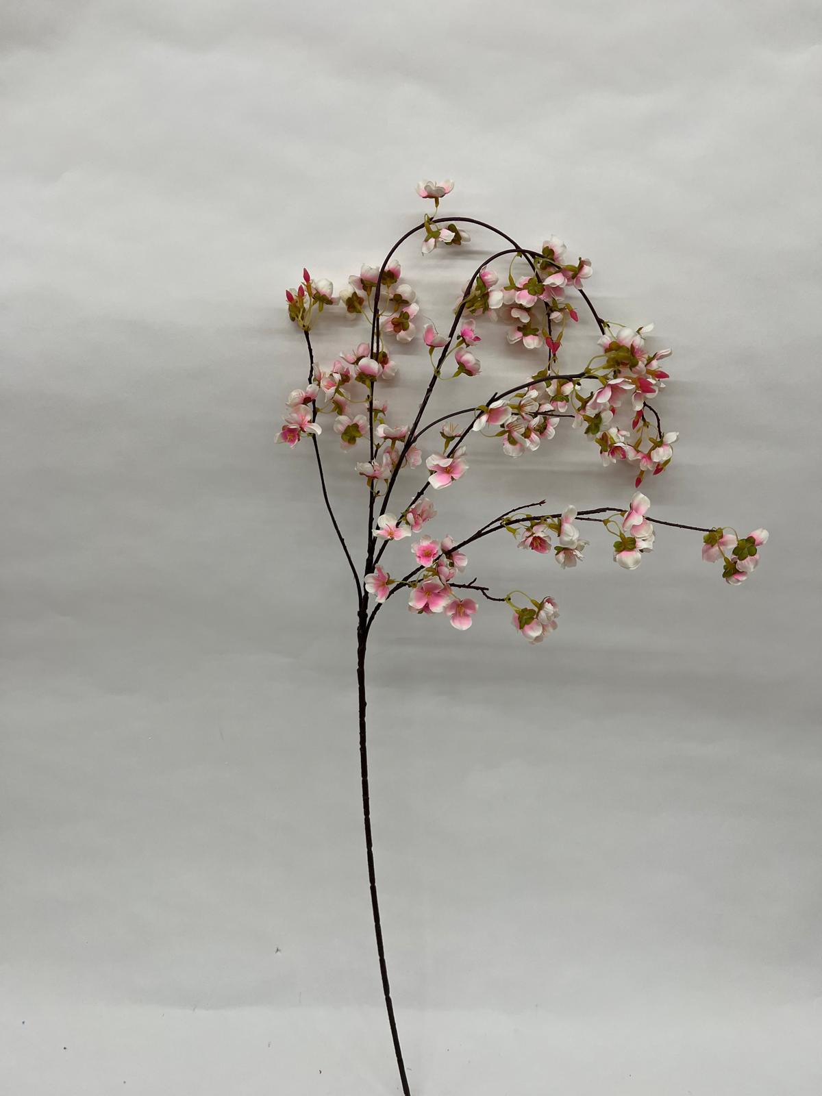 Floare Cires Curgatore
