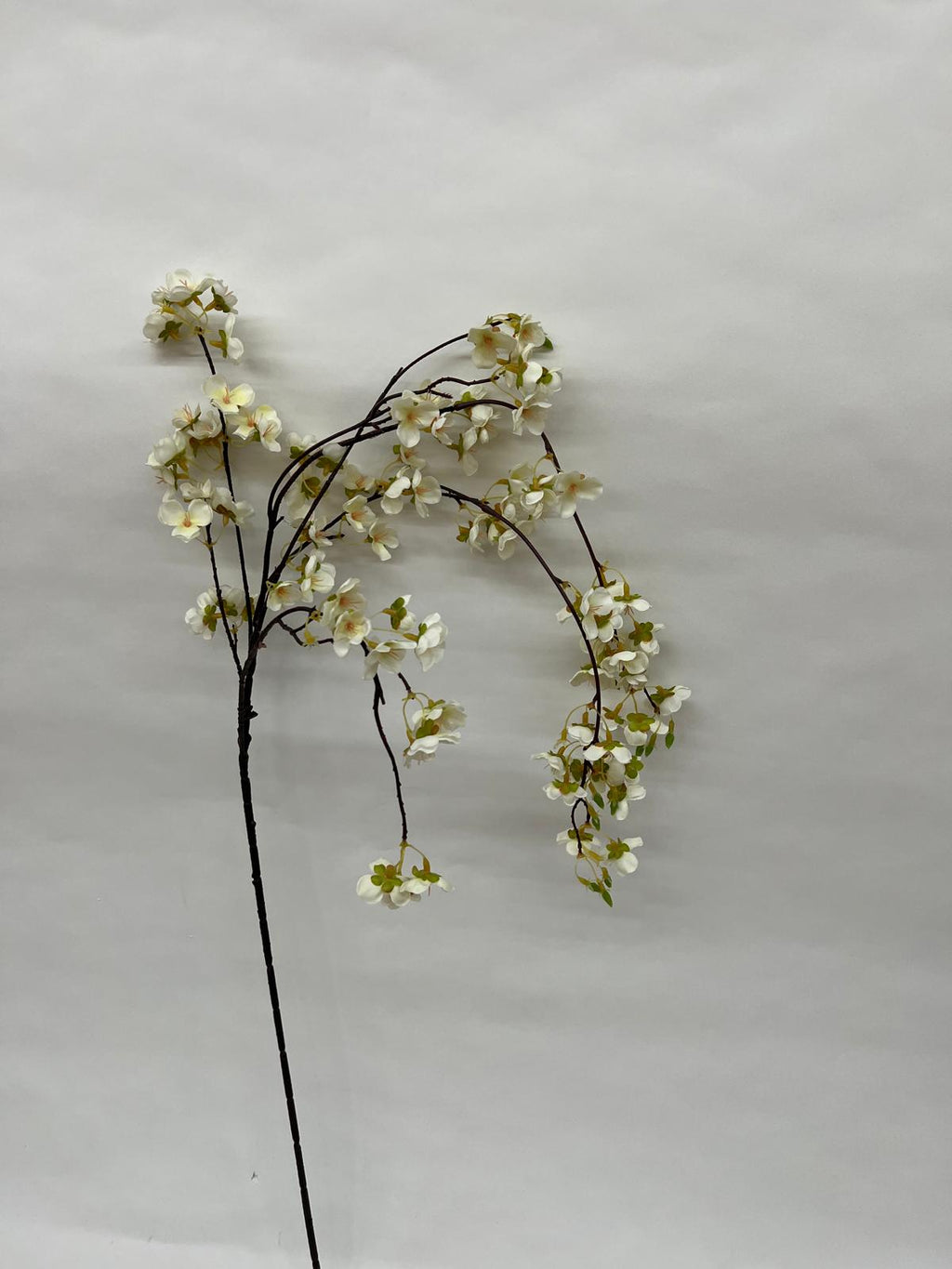 Floare Cires Curgatore