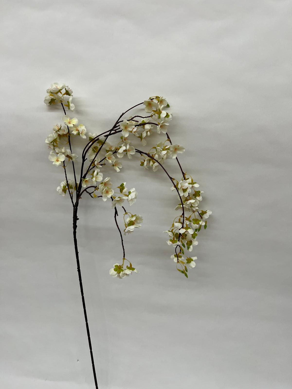 Floare Cires Curgatore
