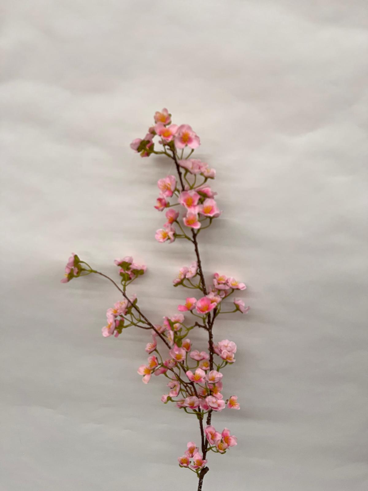 Floare Cires Crenguta