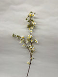 Floare Cires Crenguta