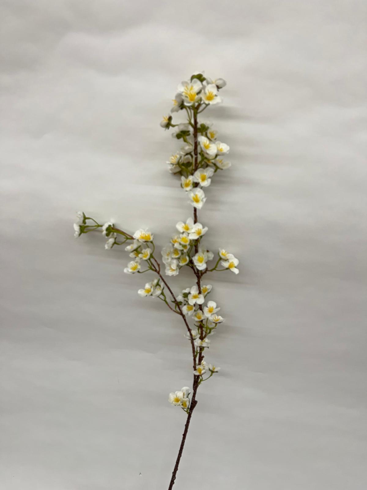 Floare Cires Crenguta